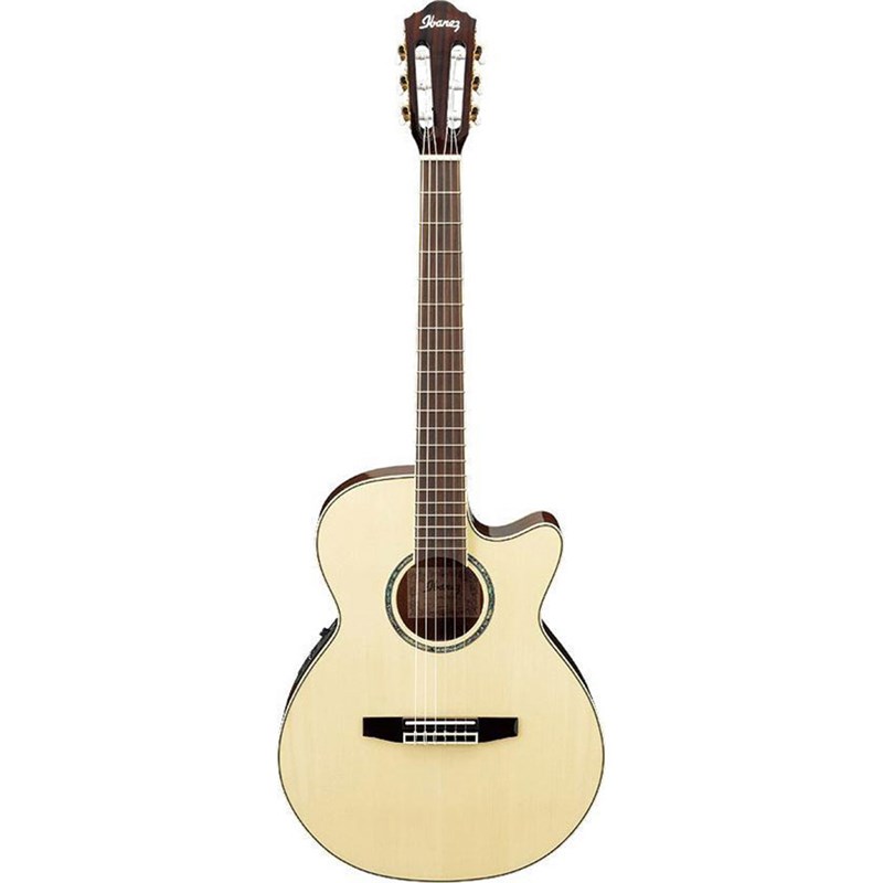(USED) Ibanez AEG10NE Nylon String Cutaway Classical Guitar